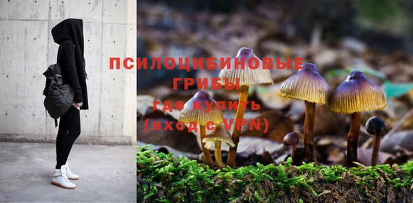 MESCALINE Михайловск